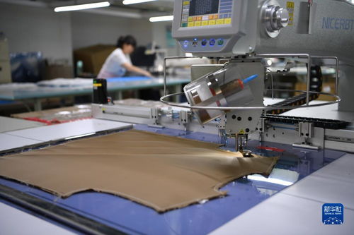 河北南宮 打造羊絨服裝服飾產業集群助力經濟發展